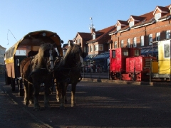 Borkum1