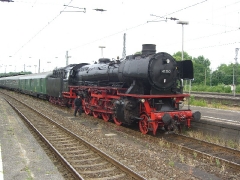 matjesexpress6